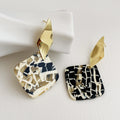 Korean Design Sense Geometric Resin Earrings Female S925 Silver Needle Personality Temperament Metal Earrings Jewelry